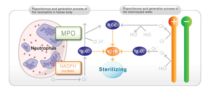 sterilize-general2